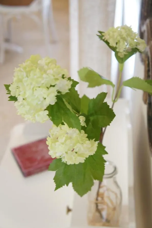 Apartamento La Juderia De San Clemente Seville Spain